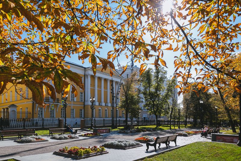 Illustration for news: Early-Career Researchers Discuss Cooperation between Russia and Arab States